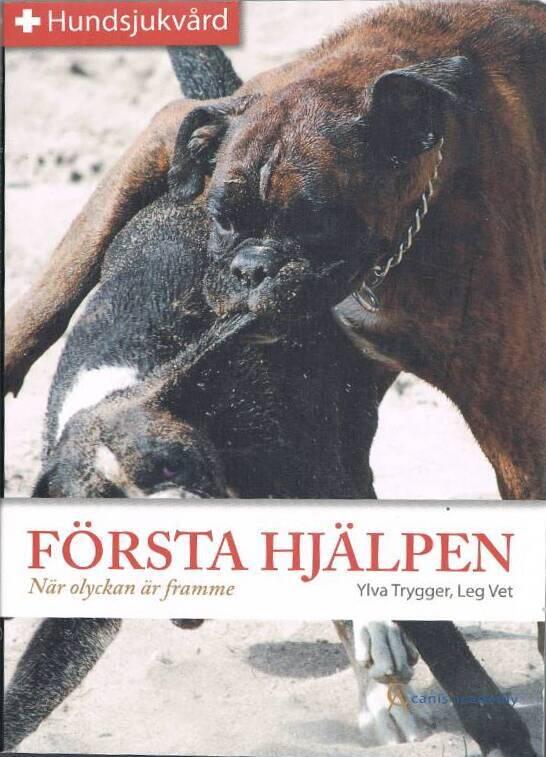 F&ouml;rsta hj&auml;lpen
