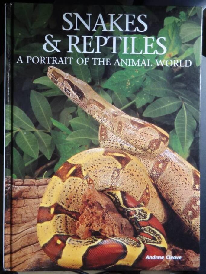 Snakes & reptiles
