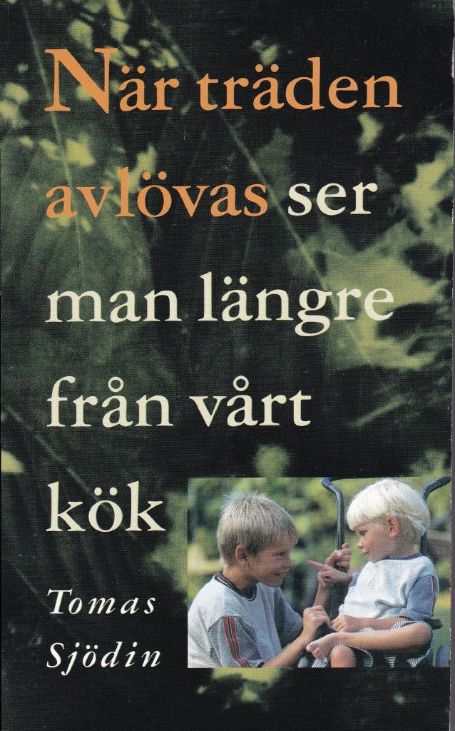 N&auml;r tr&auml;den avl&ouml;vas ser man l&auml;ngre fr&aring;n v&aring;rt k&ouml;k