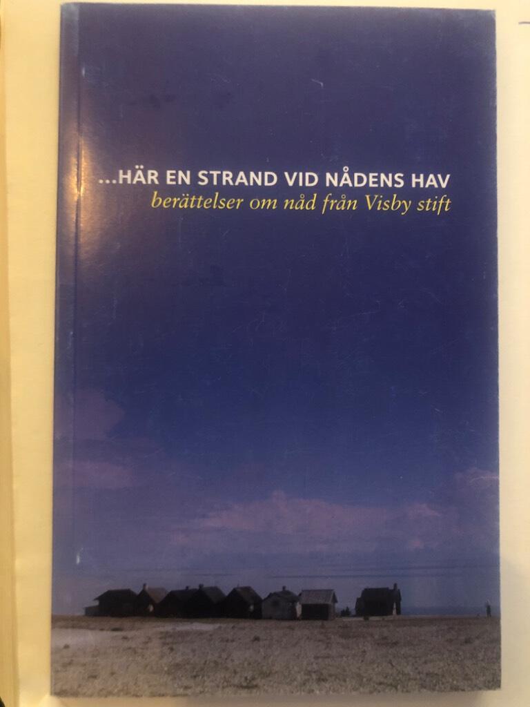 Kyrkjakten : 19 gotl&auml;ndska kyrkor att bes&ouml;ka och uppleva