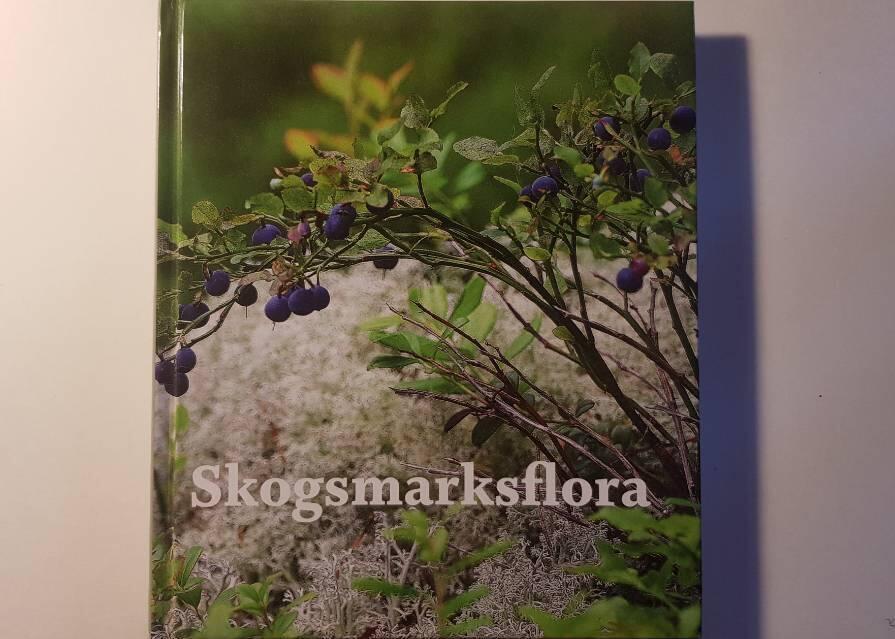 Skogsmarksflora