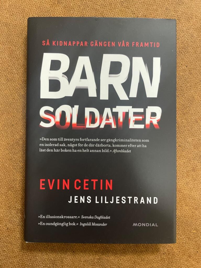 Barnsoldaterna : dagbok fr&aring;n en brytningstid