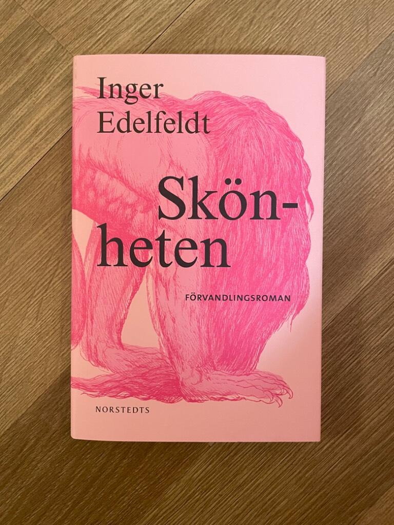 Sk&ouml;nheten - f&ouml;rvandlingsroman