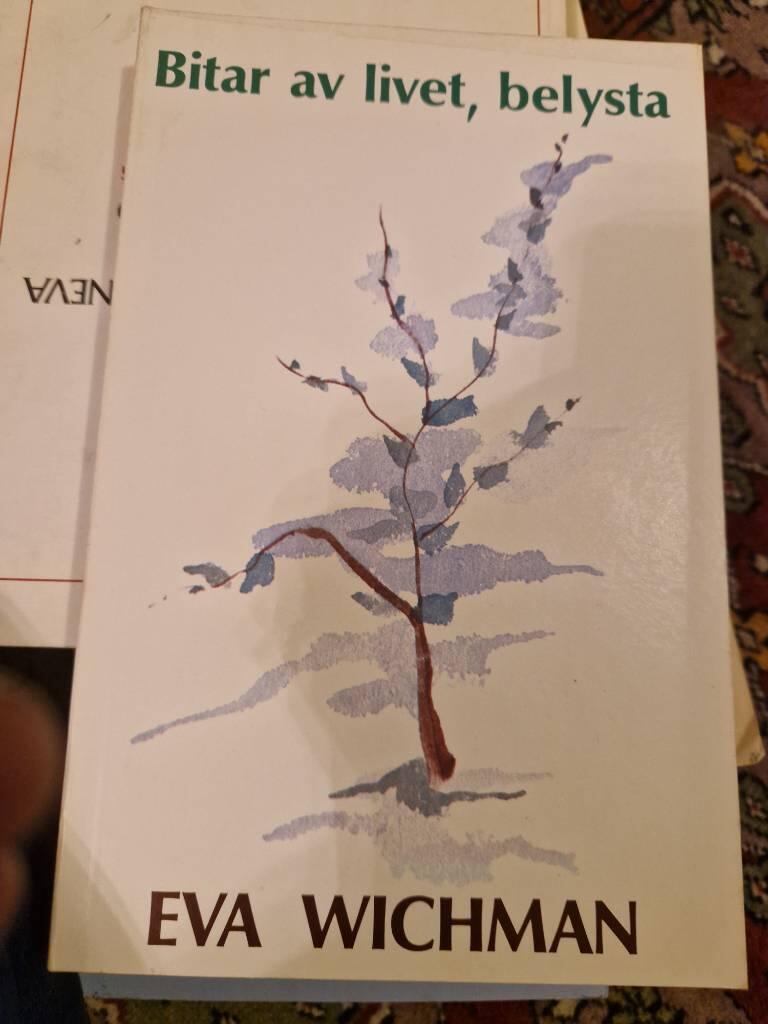 Bitar av livet, belysta