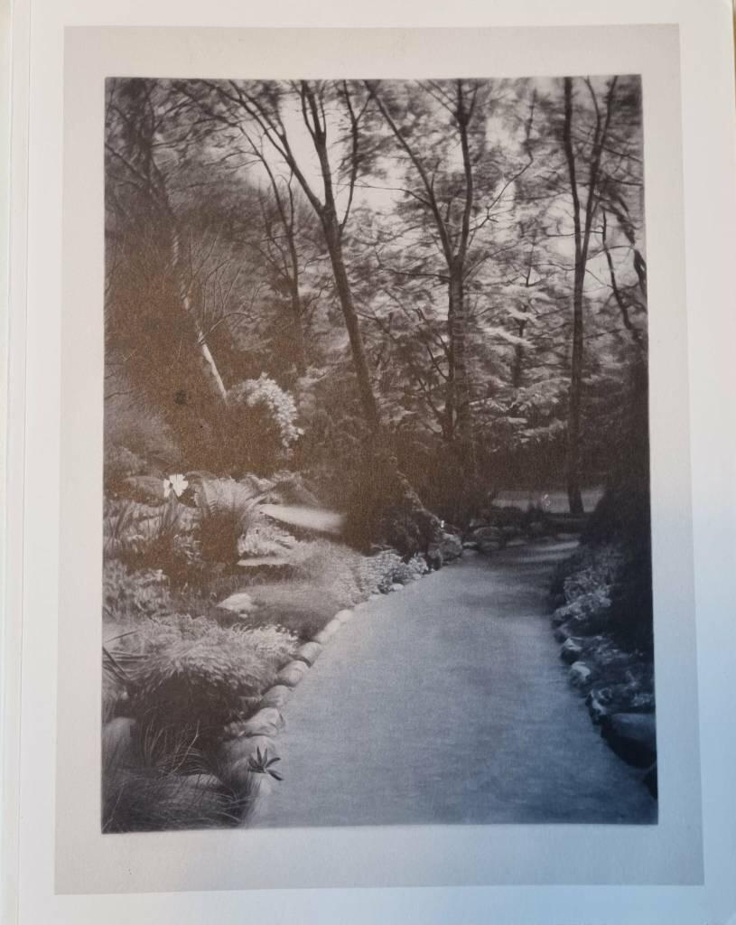 Gunnel W&aring;hlstrand : Nordiska Akvarellmuseet 10/3-5/5 2013 : Uppsala Konstmuseum 25/5-1/9 2013