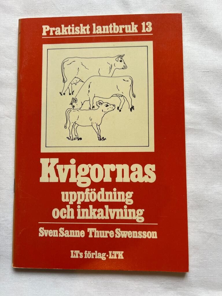 Kvigornas uppf&ouml;dning och inkalvning