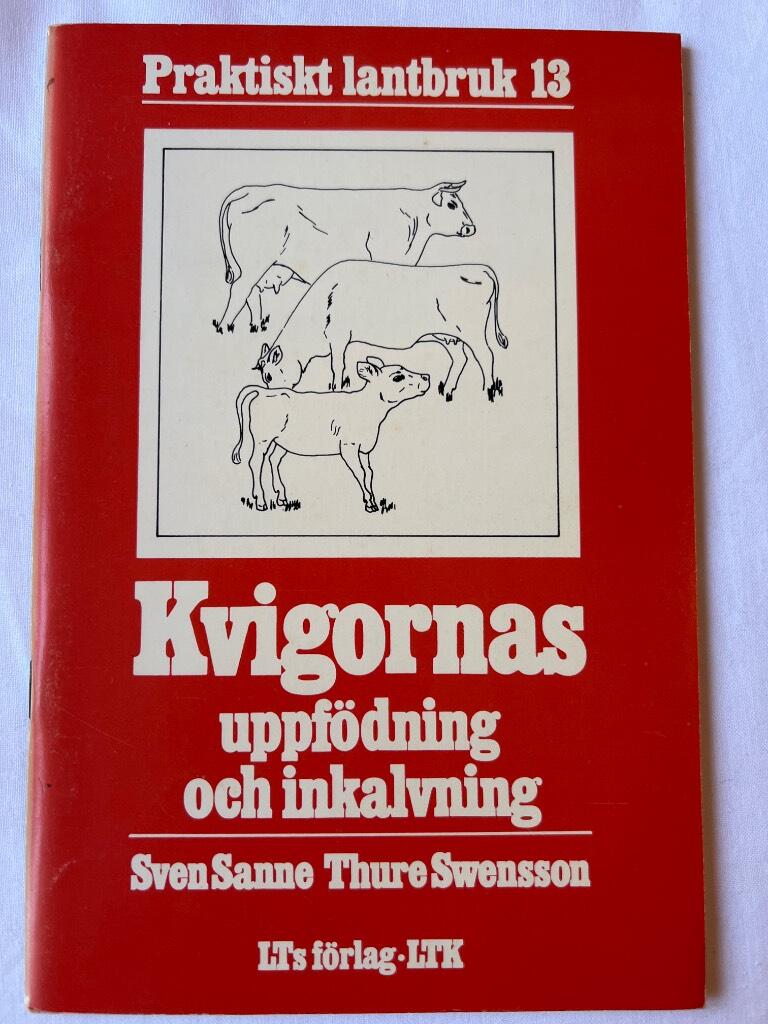 Kvigornas uppf&ouml;dning och inkalvning