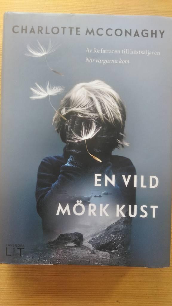 En vild mörk kust