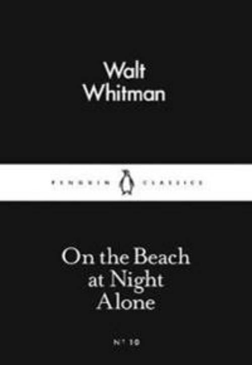 On the beach at night alone