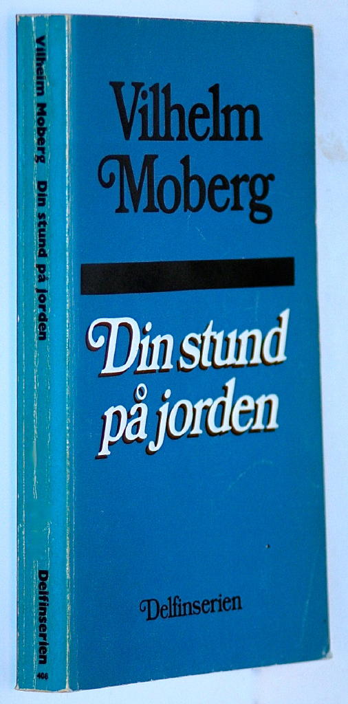 Din stund p&aring; jorden - roman