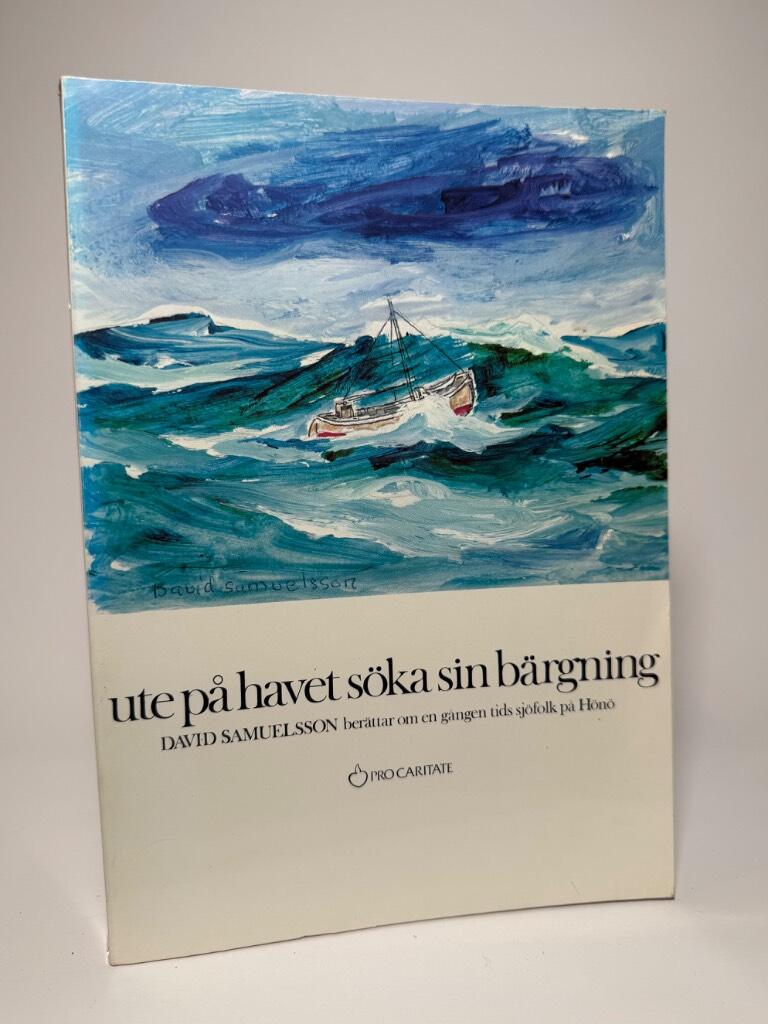 Ute p&aring; havet s&ouml;ka sin b&auml;rgning