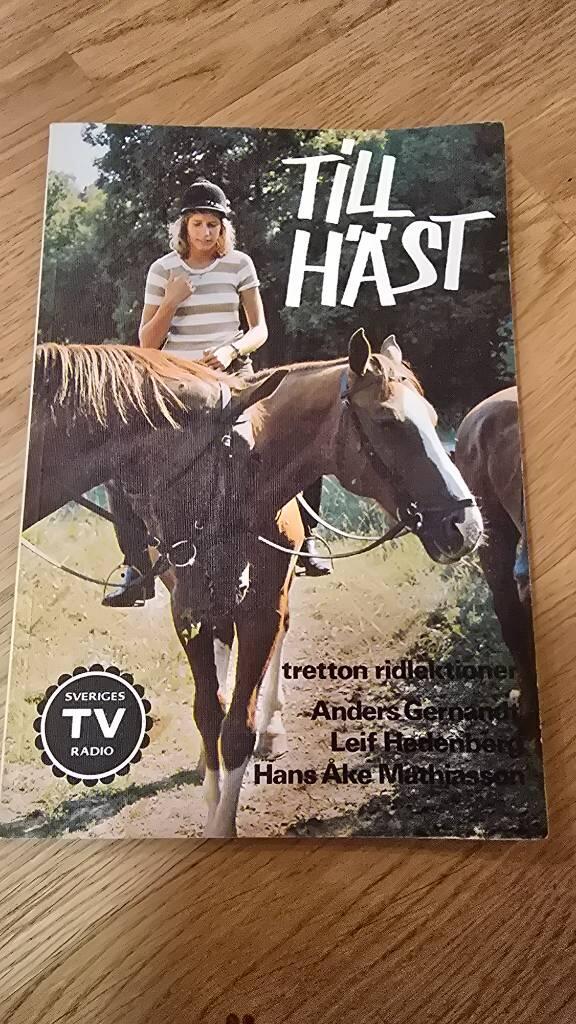 Till h&auml;st - tretton ridlektioner
