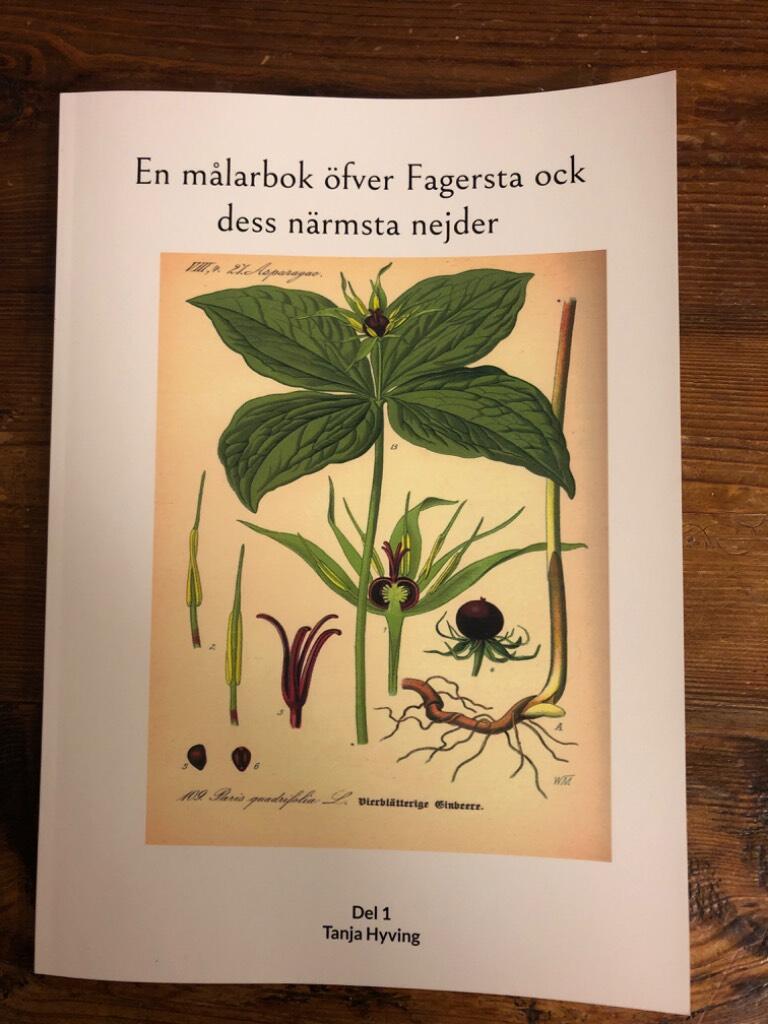 En m&aring;larbok &ouml;fver Fagersta ock dess n&auml;rmsta nejder
