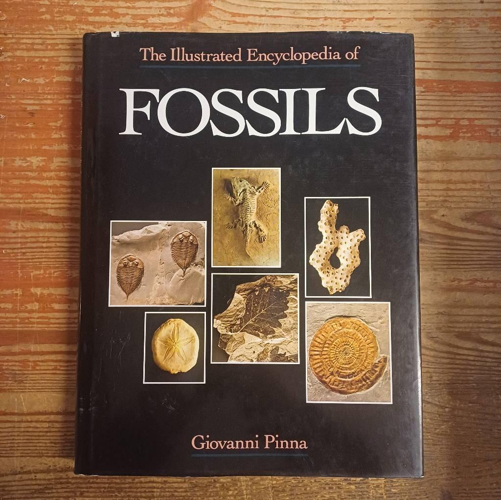 The illustrated encyclopedia of fossils