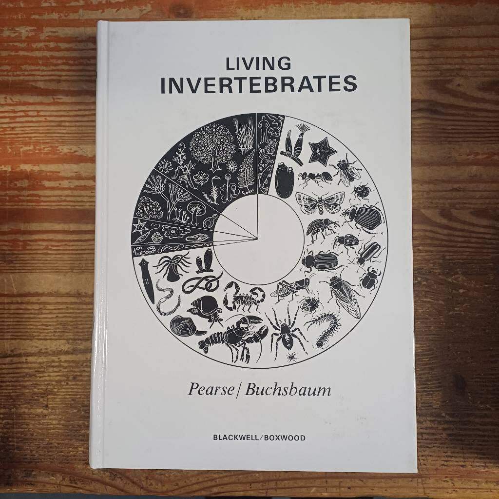 Living invertebrates