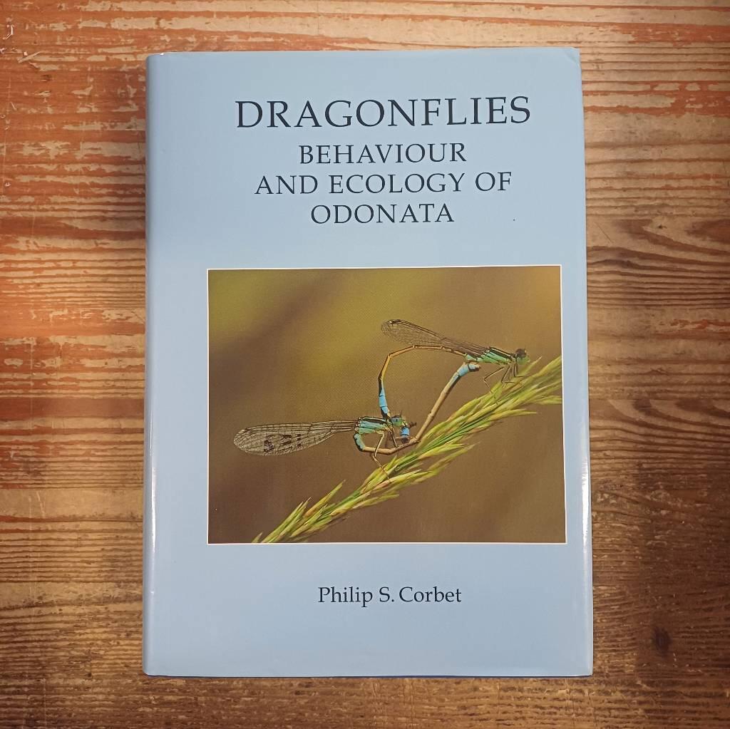 Dragonflies