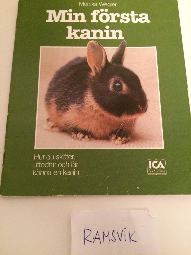 Min f&ouml;rsta kanin : hur du sk&ouml;ter, utfodrar och l&auml;r k&auml;nna en kanin