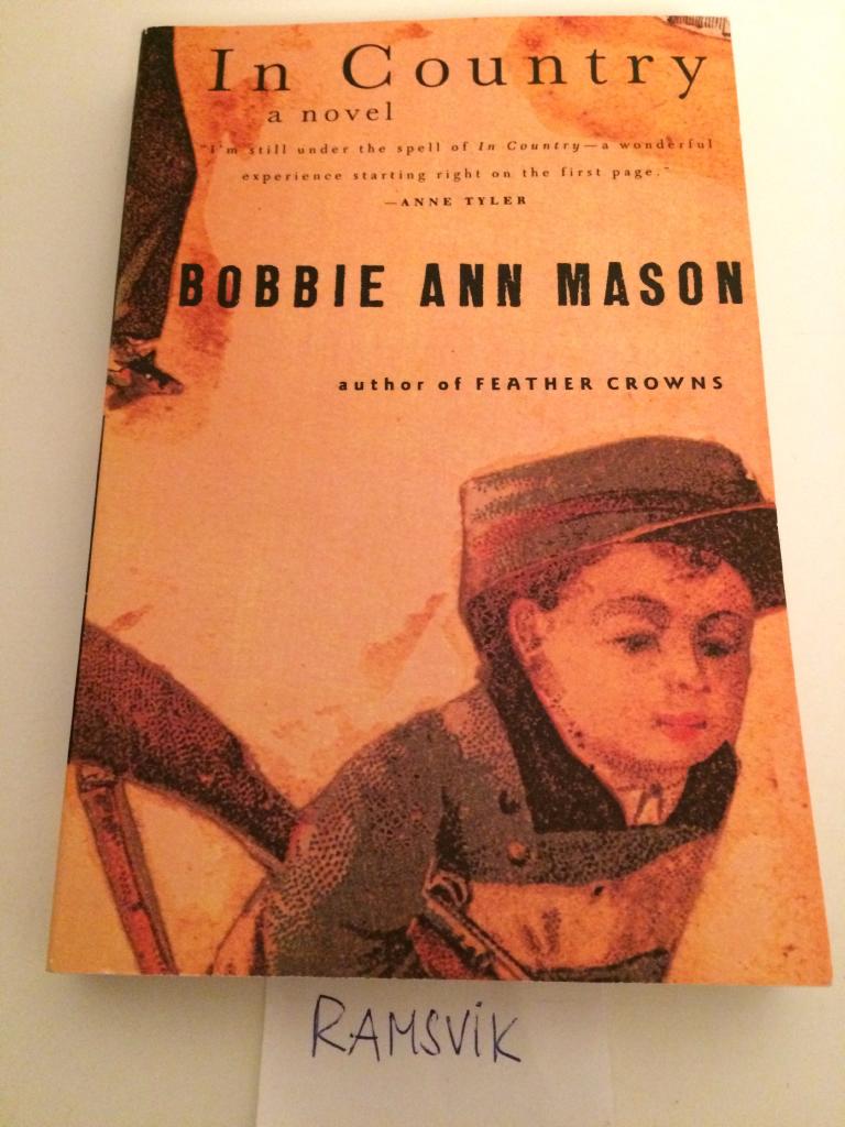 In country : a novel