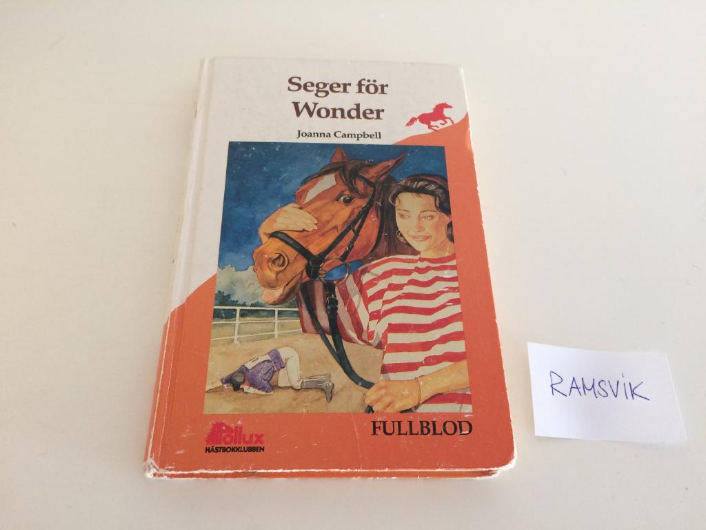 Seger för Wonder