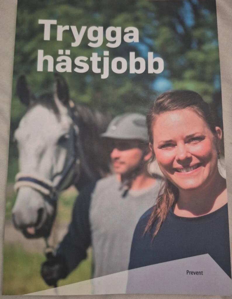 Trygga h&auml;stjobb