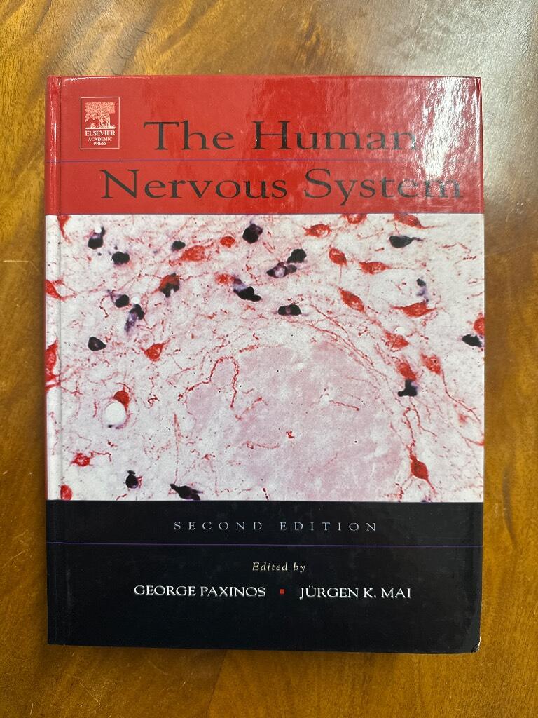 The human nervous system