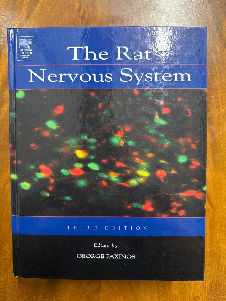 The rat nervous system