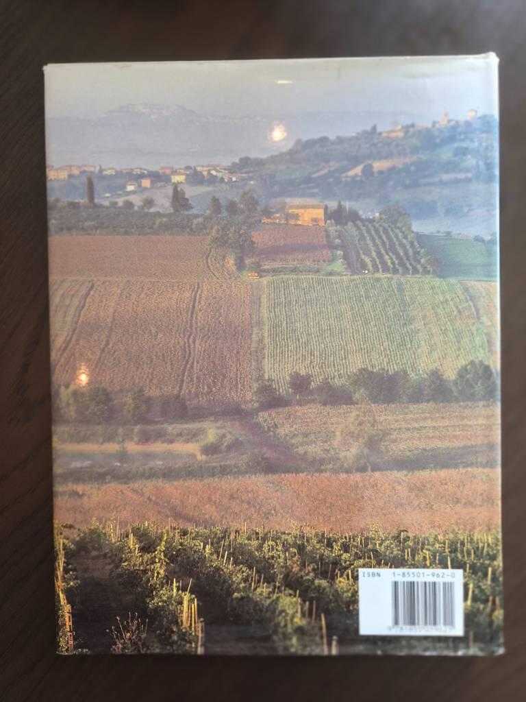 The world of wine