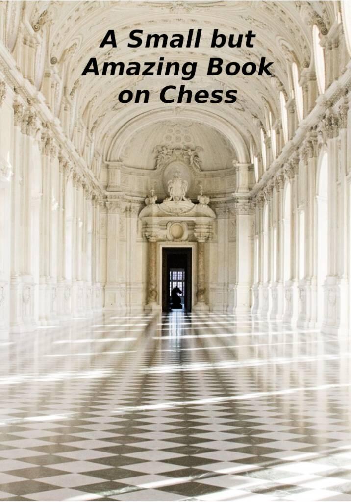 A small but amazing book on chess