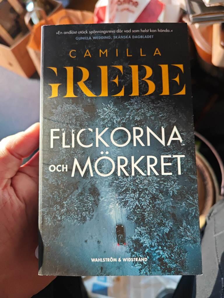 Flickorna och m&ouml;rkret