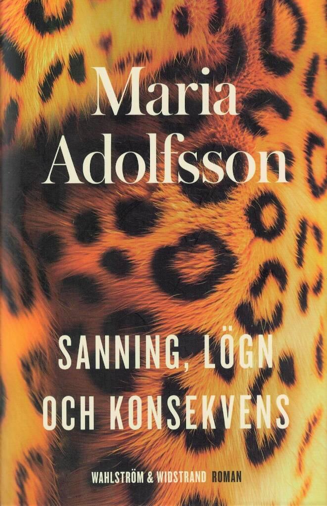 Sanning, l&ouml;gn och konsekvens