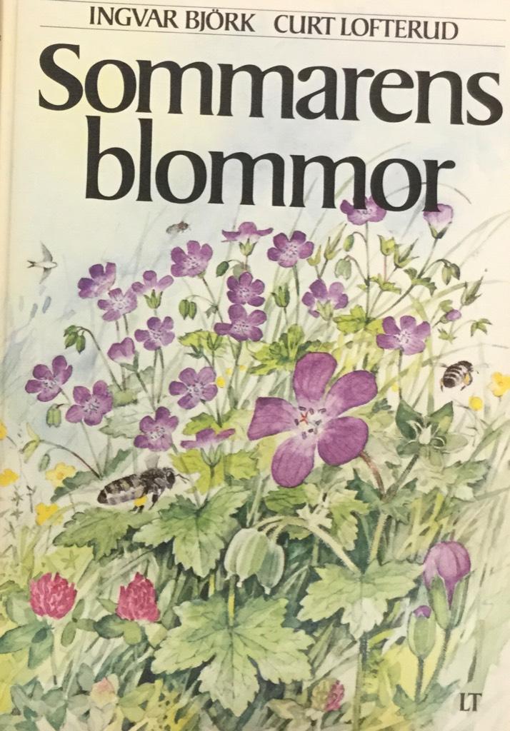 Sommarens blommor