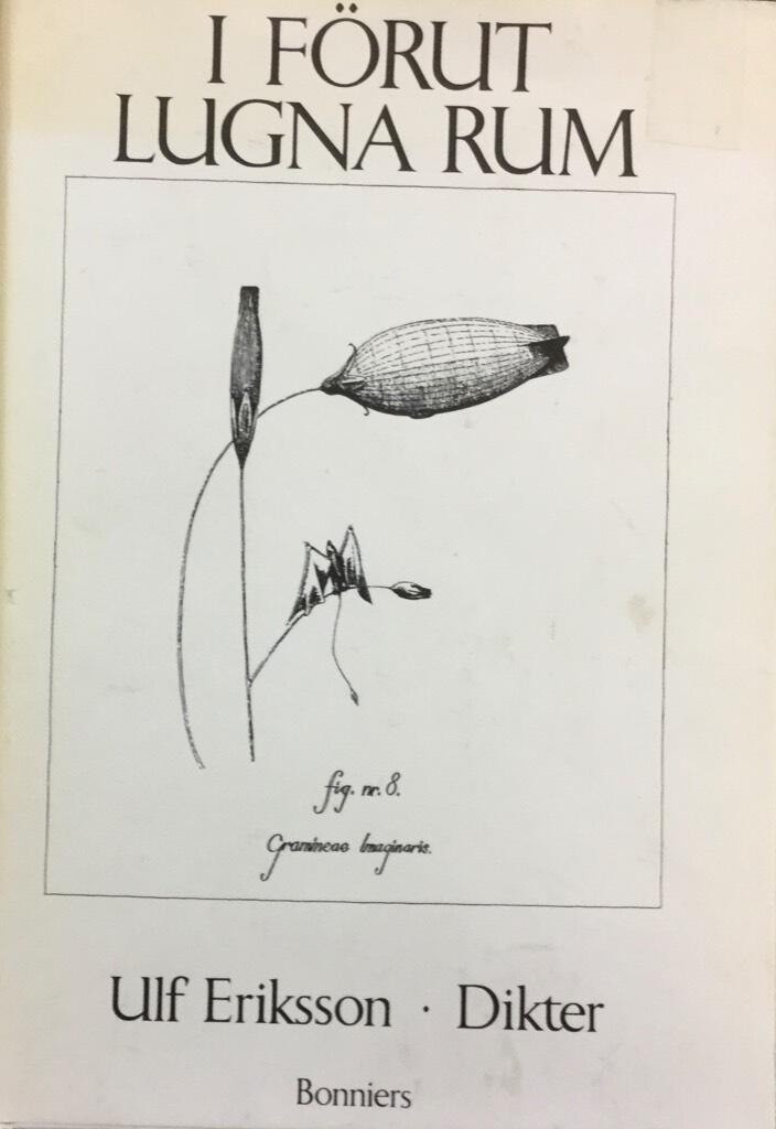 I f&ouml;rut lugna rum : dikter