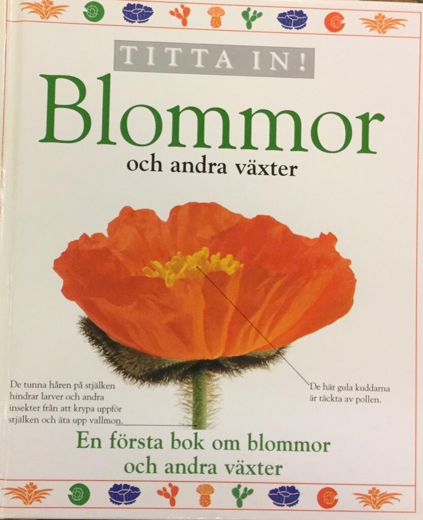 Titta in! Blommor