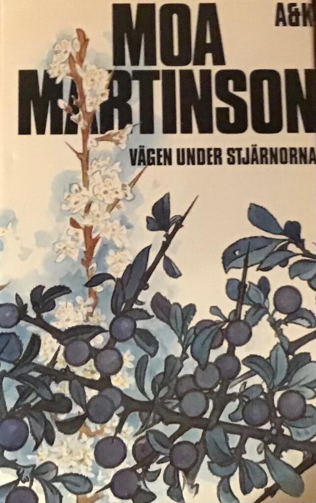 V&auml;gen under stj&auml;rnorna