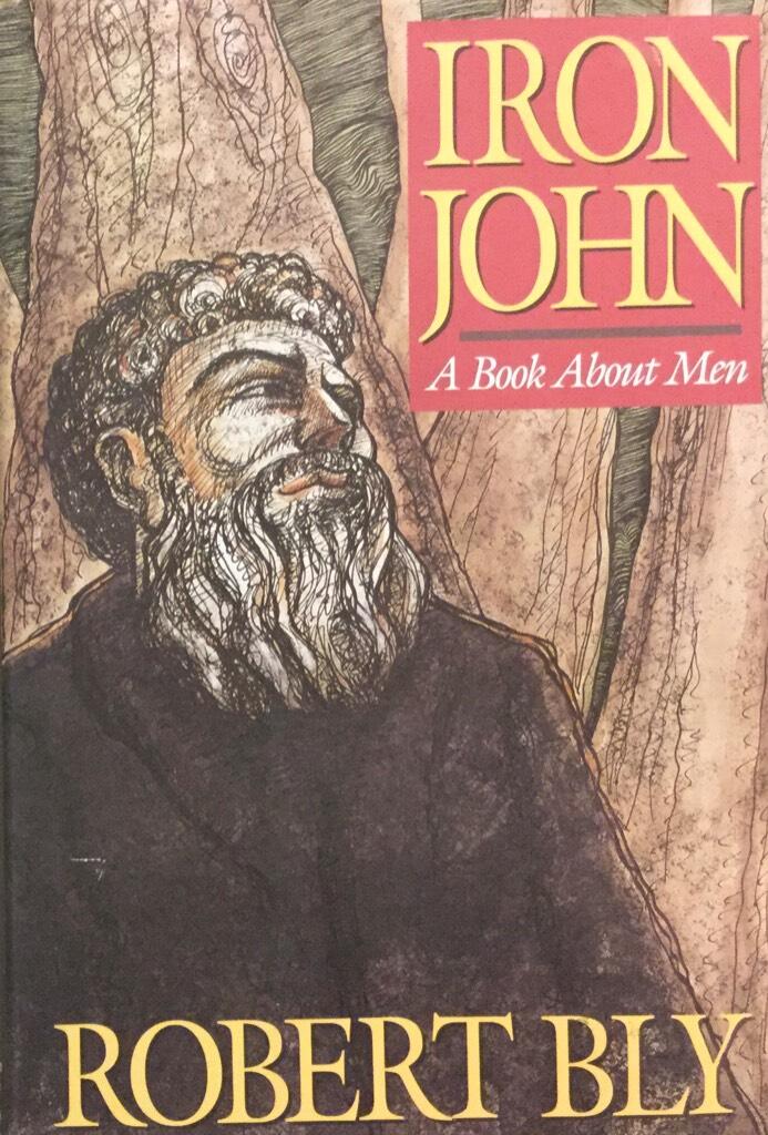 Iron John : a book about men
