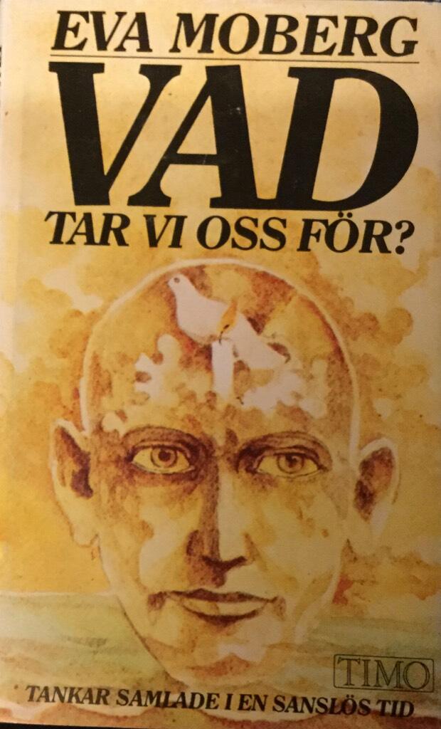 Vad tar vi oss f&ouml;r? : tankar samlade i en sansl&ouml;s tid