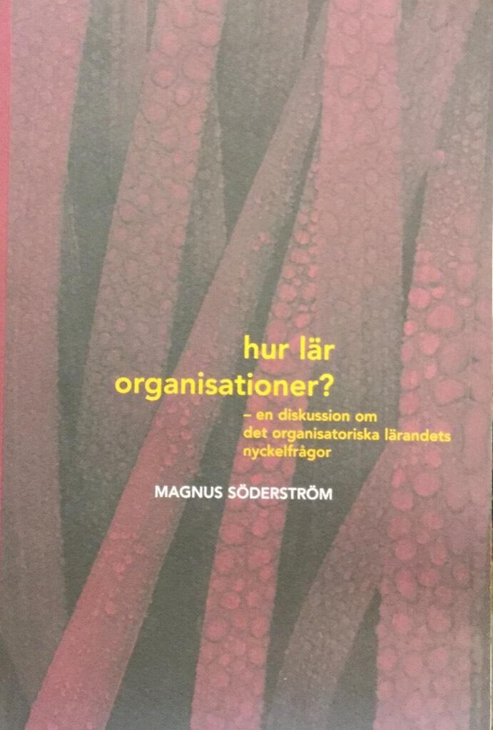Hur l&auml;r organisationer? - en diskussion om det organisatoriska l&auml;randets nyckelfr&aring;gor