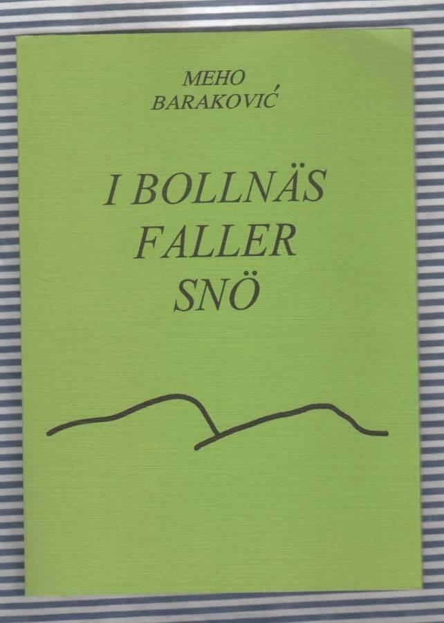 I Bolln&auml;s faller sn&ouml;