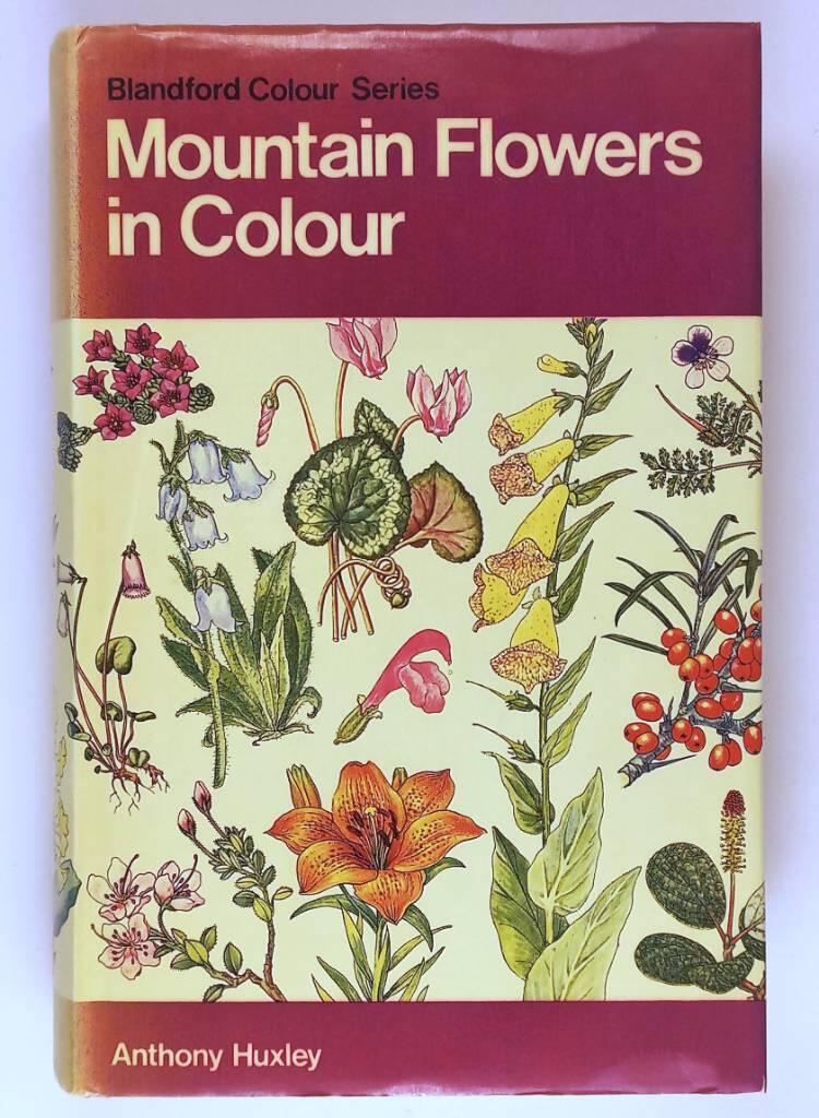 Mountain flowers in colour