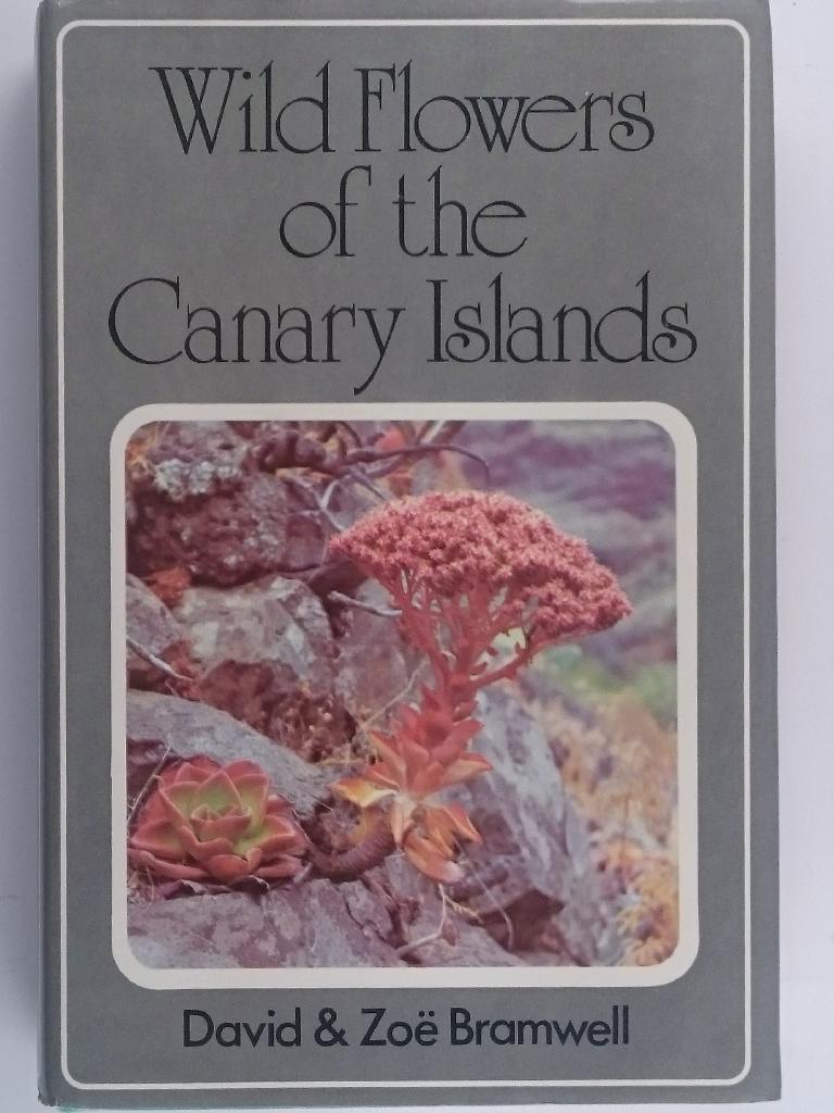 Wild flowers of the Canary Islands