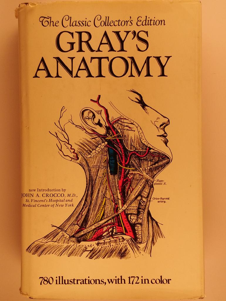 Anatomy, descriptive and surgical