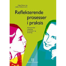 Reflekterende prosesser i praksis : klientsamtaler, veiledning, konsultasjon og forskning