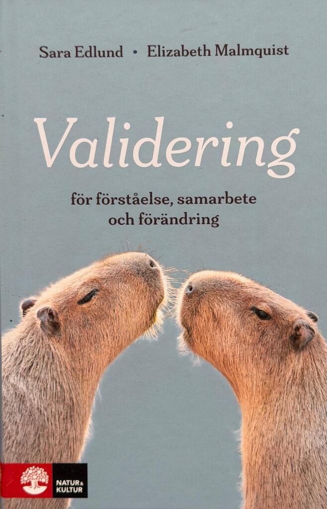 Validering - f&ouml;r f&ouml;rst&aring;else, samarbete och f&ouml;r&auml;ndring