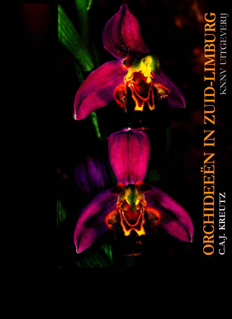 Orchidee&euml;n in Zuid-Limburg