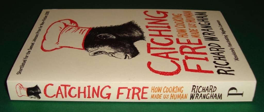 Catching fire : how cooking made us human