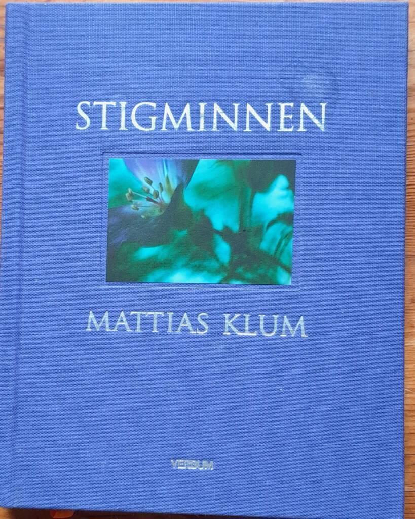 Stigminnen