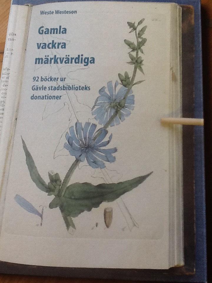 Gamla, vackra, m&auml;rkv&auml;rdiga : 92 b&ouml;cker ur G&auml;vle stadsbiblioteks donationer