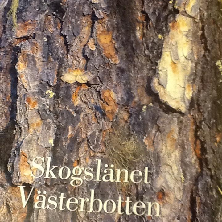 Skogslänet Västerbotten