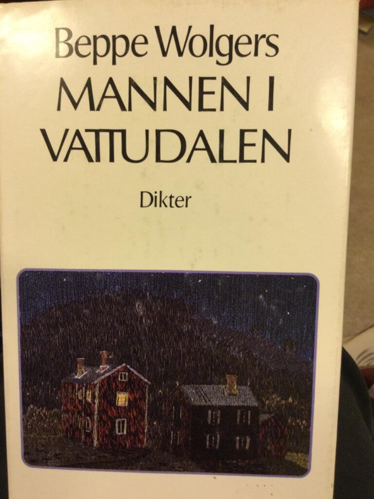 Mannen i Vattudalen