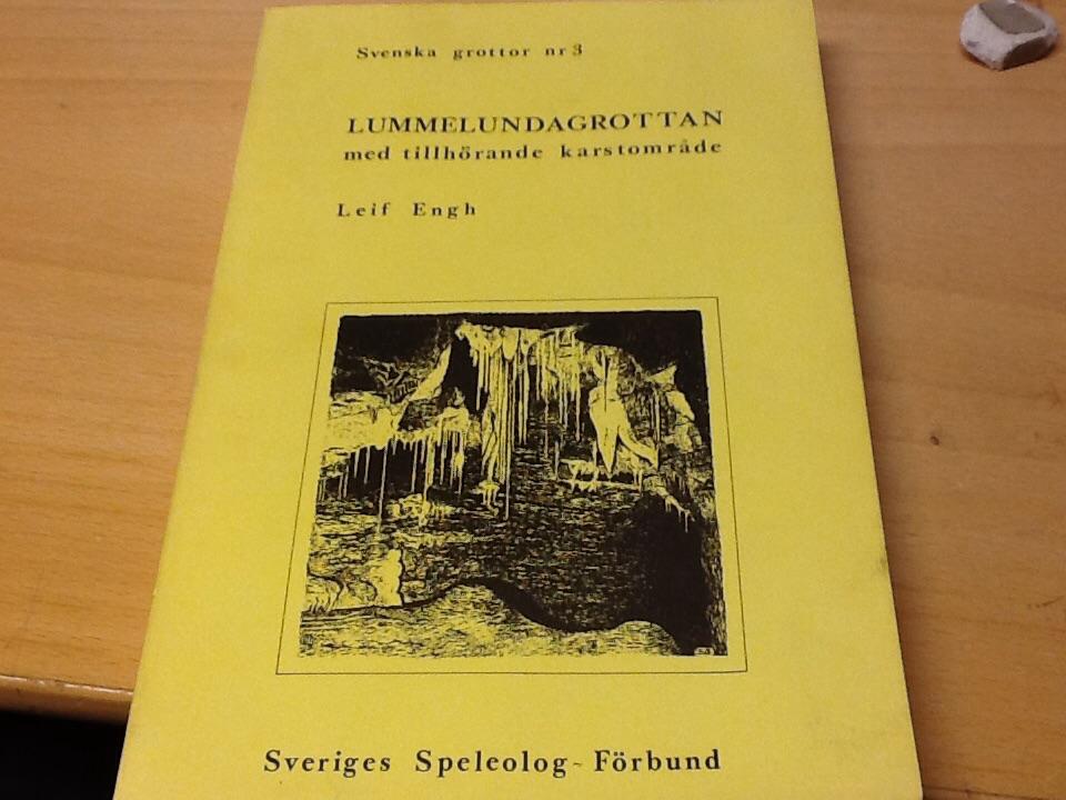 Karstomr&aring;det vid Lummelunds bruk, Gotland med speciell h&auml;nsyn till Lummelundagrottan